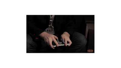 Riffle Shuffle Action Palm by Michael Feldman - Video Download Vanishing Inc. bei Deinparadies.ch
