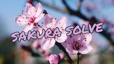 SAKURA SOLVE | Cyril Hubert and JJ Team - Video Download Nguyen Trung Nghi bei Deinparadies.ch