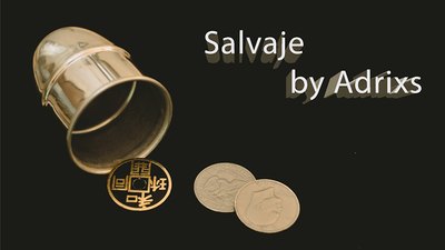 Salvaje by Adrixs - Video Download Adrian Ferrando bei Deinparadies.ch