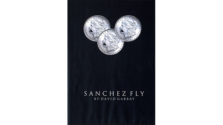 Sanchez Fly by David Gabbay - Video Download Miracle Junkie - David Gabbay bei Deinparadies.ch