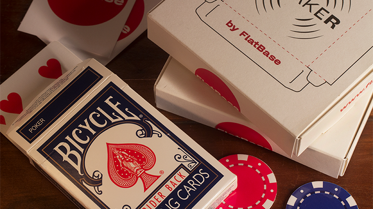 Shaker | FlatBase (Blue)-Flat Base-Deinparadies.ch