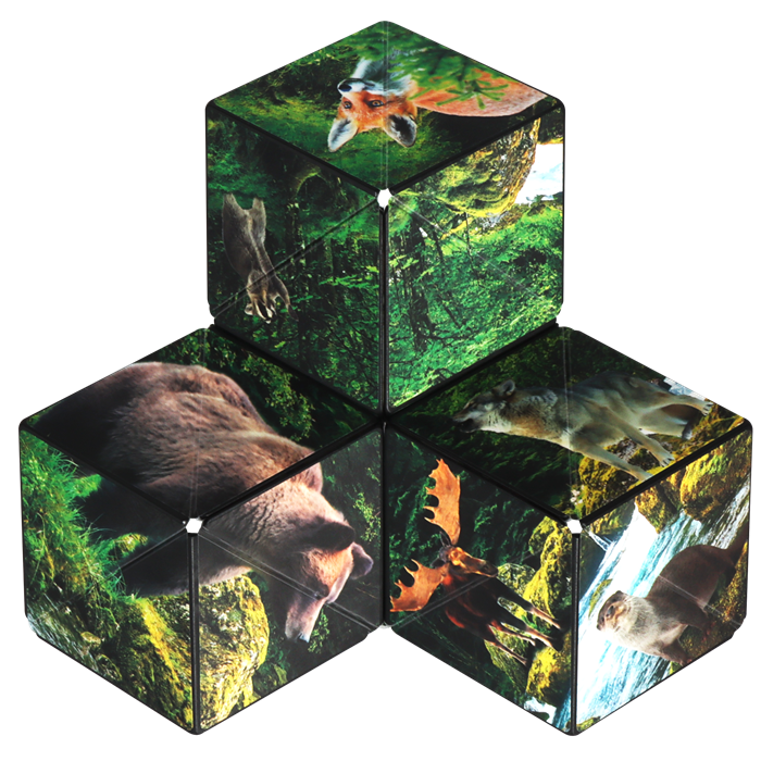 Shashibo Cube Forest