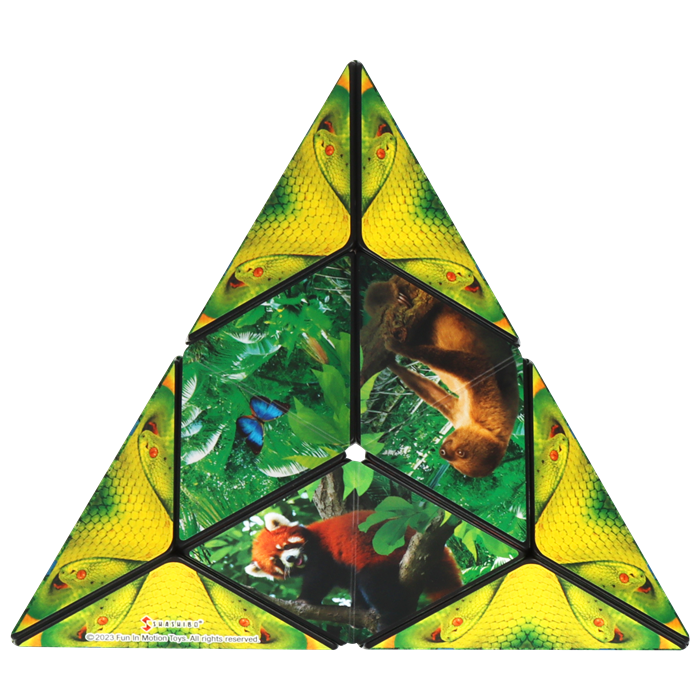 Shashibo Cube Jungle