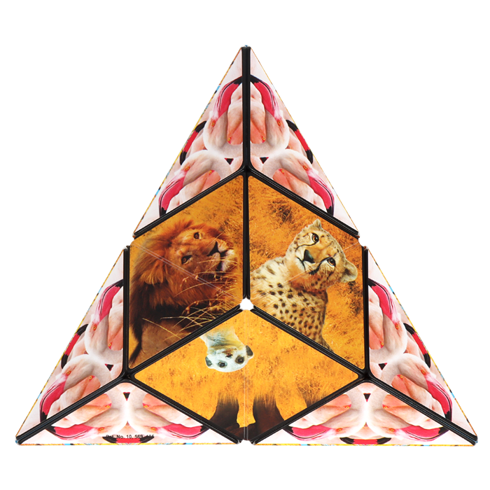 Shashibo Cube Savanna