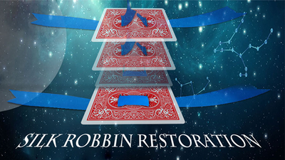 Silk Restoration | Dinging - Video Download Dingding bei Deinparadies.ch