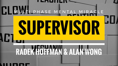 Supervisor | Radek Hoffman-Alan Wong-Deinparadies.ch