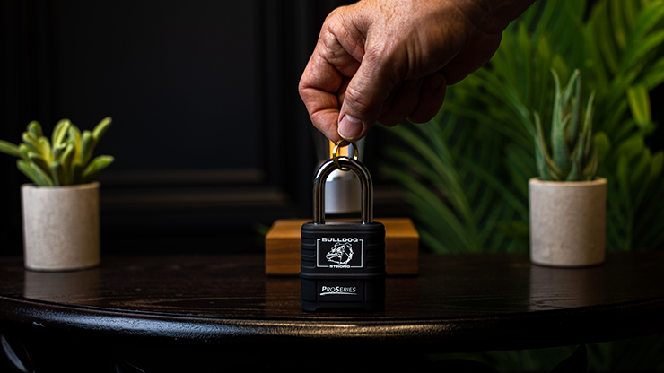 Sure Lock | James Kellogg Jr.