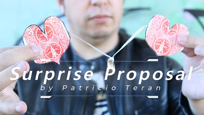 Surprise Proposal by Patricio Teran - Video Download patricio antonio teran mora bei Deinparadies.ch