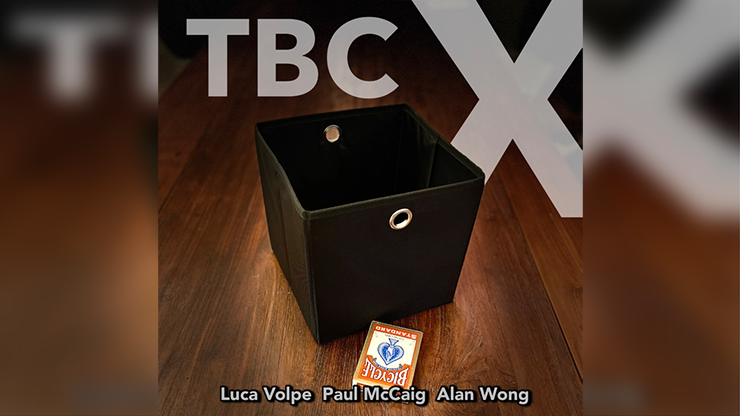 TBC X | Luca Volpe and Alan Wong-Alan Wong-Deinparadies.ch