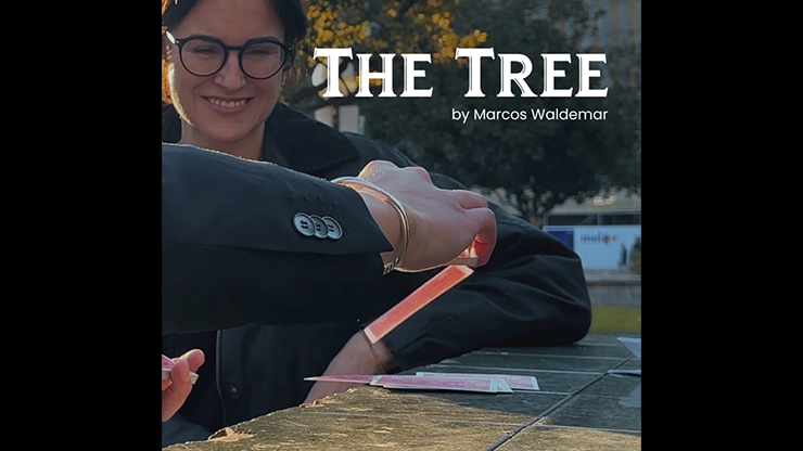 THE TREE | Marcos Waldemar & Invisible Compass - Video Download Invisible Compass bei Deinparadies.ch