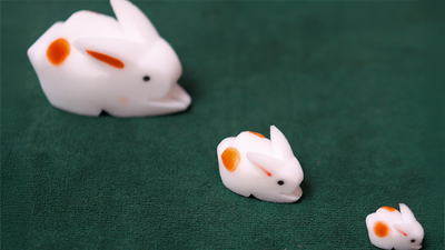 The Bunnies! 3D Rabbits (Parents, Kids & Grandpa)-TRICKSUPPLY-Deinparadies.ch