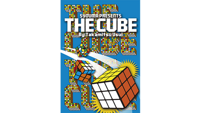 The Cube by Takamitsu Usui Tejinaya bei Deinparadies.ch