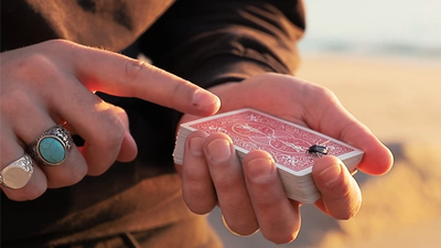 The FLY LITE | Marcos Waldemar & Invisible Compass-Invisible Compass-Deinparadies.ch