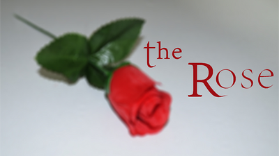 The Rose by Sandro Loporcaro (Amazo) - Video Download Sorcier Magic bei Deinparadies.ch