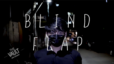 The Vault - Blind Flap Project by PH and Mario Tarasini - Video Download Marius Tarasevicius bei Deinparadies.ch