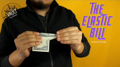 The Vault - Elastic Bill by Sultan Orazaly - Video Download Sultan Orazaly bei Deinparadies.ch