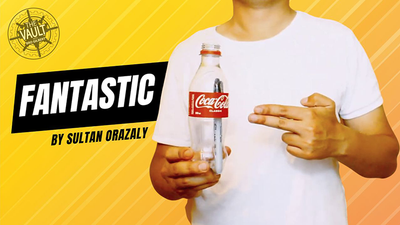 The Vault - Fantastic by Sultan Orazaly - Video Download Sultan Orazaly bei Deinparadies.ch