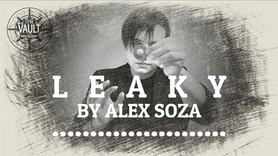 The Vault - Leaky by Alex Soza - Video Download Alex Andrès Soza Espinoza bei Deinparadies.ch