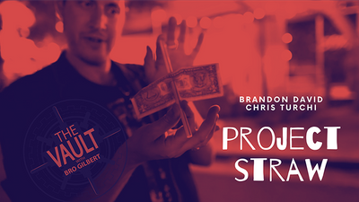 The Vault - Project Straw by Brandon David & Chris Turchi - Video Download Murphy's Magic bei Deinparadies.ch