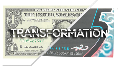 Transformation by Llya Seisov - Video Download Llya Larionov bei Deinparadies.ch