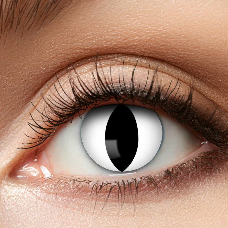 White Cat Kontaktlinsen | Wochenlinsen-Catcher-Deinparadies.ch