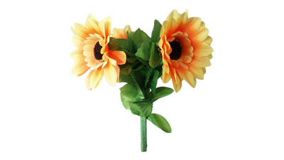 Amazing Split Sunflower | Premium Magic