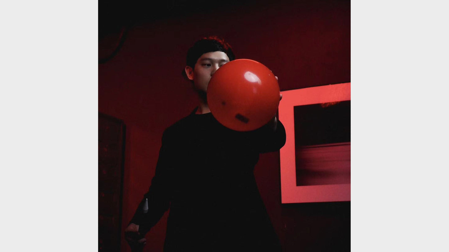 Balloon Oracle | HJ & Henry Harrius Henry Harrius bei Deinparadies.ch