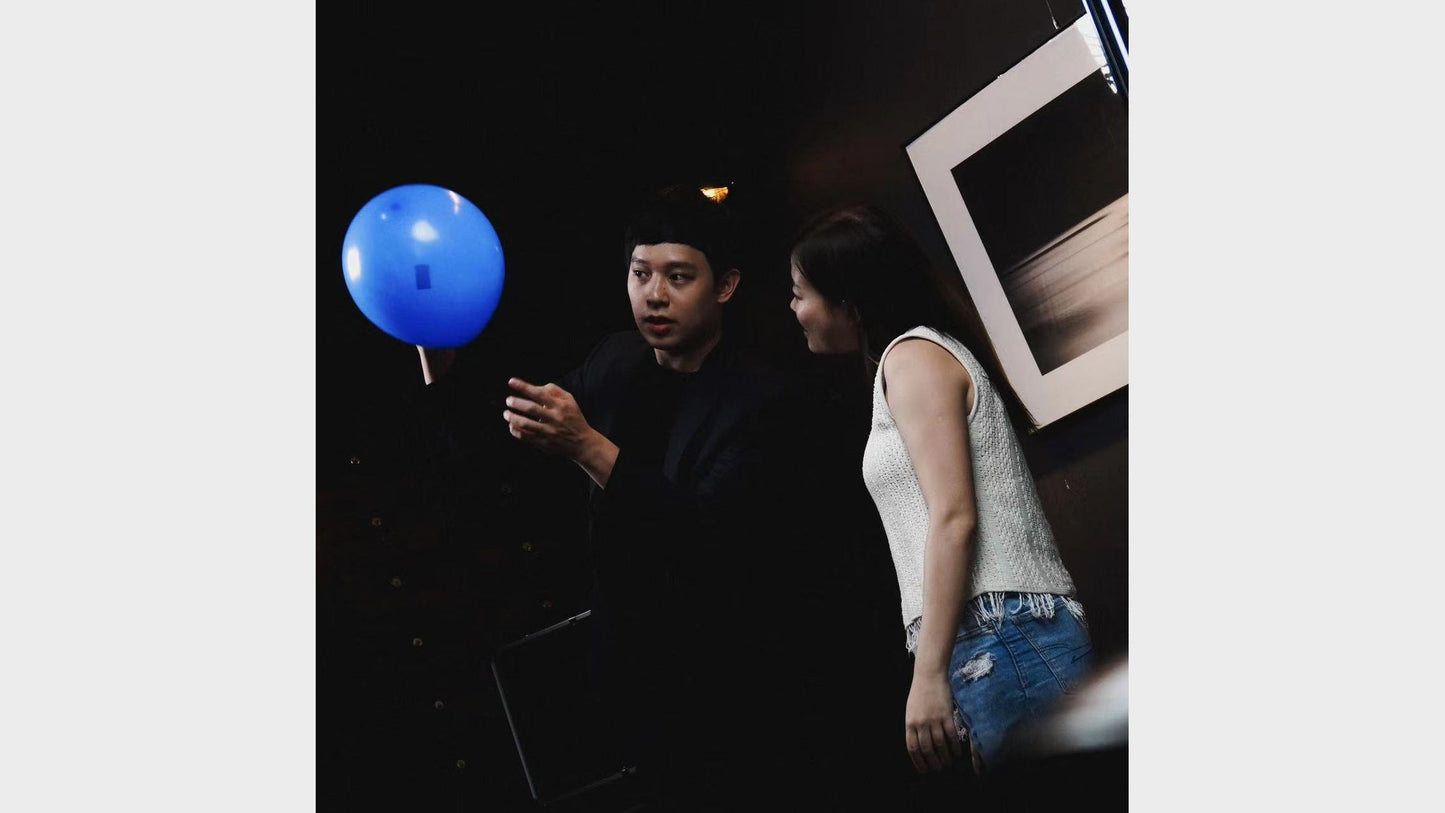 Balloon Oracle | HJ & Henry Harrius Henry Harrius bei Deinparadies.ch