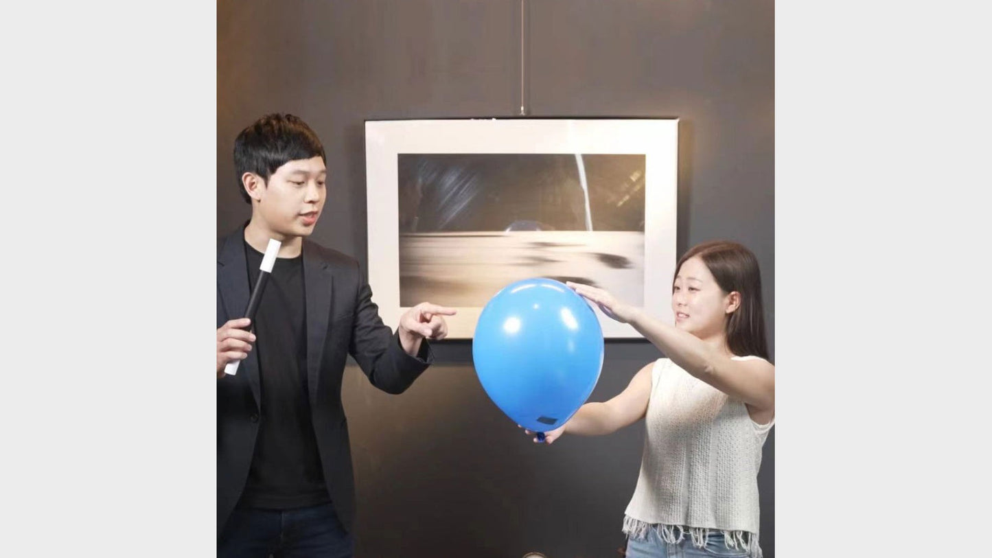 Balloon Oracle | HJ & Henry Harrius Henry Harrius bei Deinparadies.ch