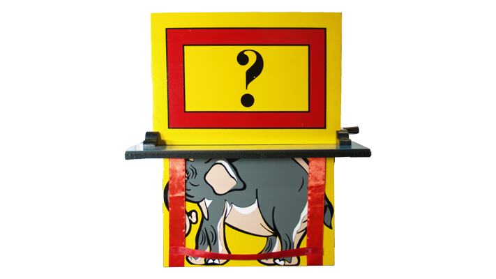 Elephant Vanish (back Stage) | Premium Magic
