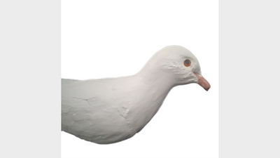 Latextaube | Norm Nielsen Nielsen Magic bei Deinparadies.ch