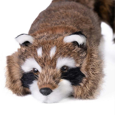 Reality Raccoon Spring Animal | Limited Edition Magic Owl Supplies bei Deinparadies.ch
