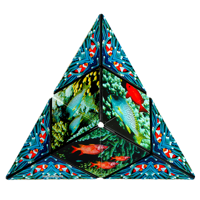 Shashibo Cube Undersea Shashibo bei Deinparadies.ch