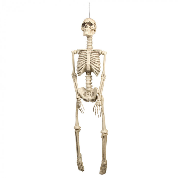 Hängendes Skelett | 92cm Boland bei Deinparadies.ch