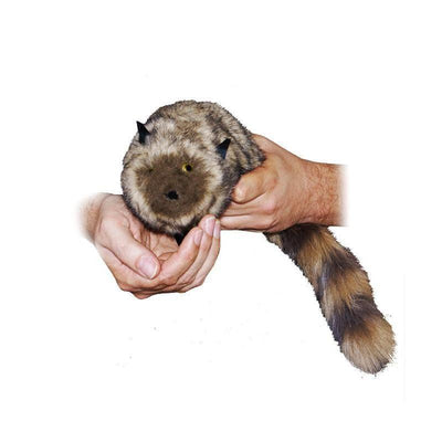 Roxie The Raccoon | Springfedertier Difatta Magic bei Deinparadies.ch
