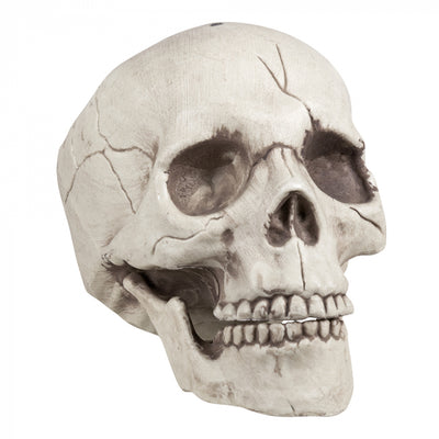 Totenkopf mit beweglichem Kiefer | 21cm Boland bei Deinparadies.ch