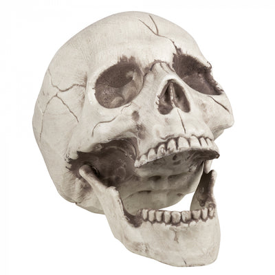 Totenkopf mit beweglichem Kiefer | 21cm Boland bei Deinparadies.ch