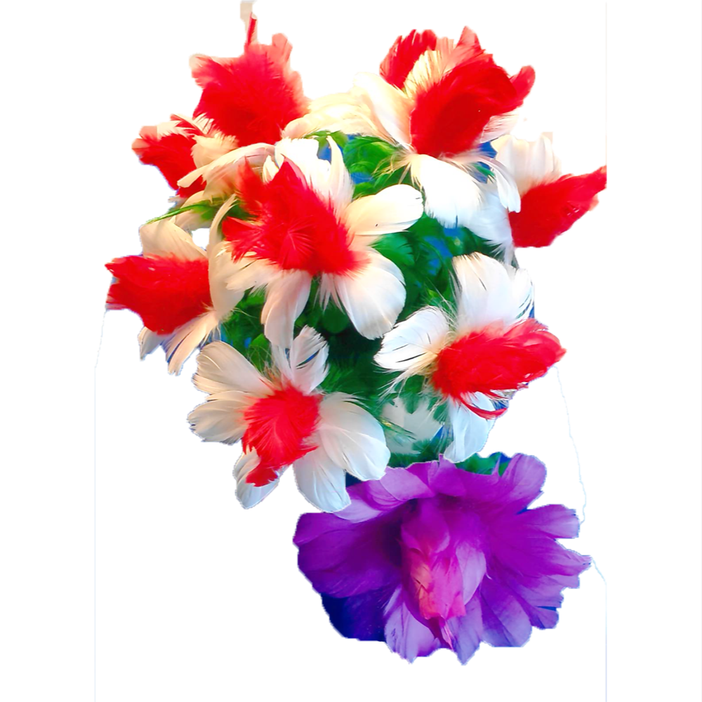 Verwandelnde Federblume Deinparadies.ch bei Deinparadies.ch