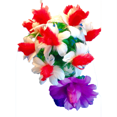 Verwandelnde Federblume Deinparadies.ch bei Deinparadies.ch