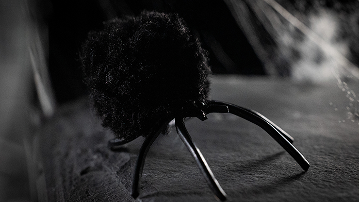 The Web Returns | Spinnentrick Murphy's Magic bei Deinparadies.ch