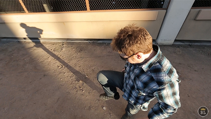 Rise (Gimmick and Online Instructions) by Sean Scott Murphy's Magic bei Deinparadies.ch