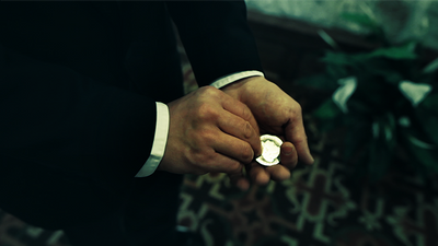 The Perfect Vanish by Tony Polli - Video Download Murphy's Magic bei Deinparadies.ch