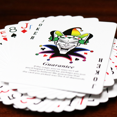 Spectrum Tally Ho Deck by US Playing Card Co. US Playing Card Co. bei Deinparadies.ch