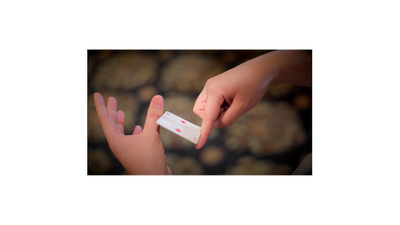 Kaze by Jeremiah Zuo & Lost Art Magic - - Video Download Lost Art Magic bei Deinparadies.ch