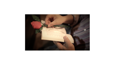 The Saint-Exerpury Rose by Vincent Mendoza & Lost Art Magic - Video DOWNLOA Lost Art Magic bei Deinparadies.ch
