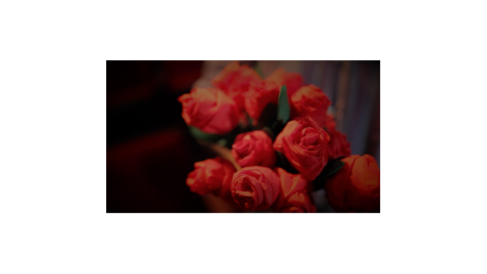 The Saint-Exerpury Rose by Vincent Mendoza & Lost Art Magic - Video DOWNLOA Lost Art Magic bei Deinparadies.ch