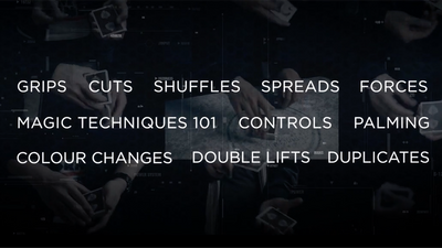 The Foundation by SansMinds SansMinds Productionz bei Deinparadies.ch