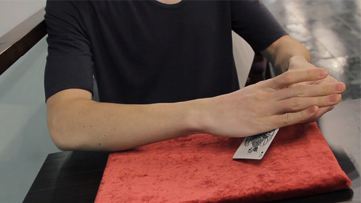 Second Form By Nick Vlow and Sergey Koller Produced by Shin Lim - Video Download Tune2Magic SHOP, LLC ROYALTY bei Deinparadies.ch