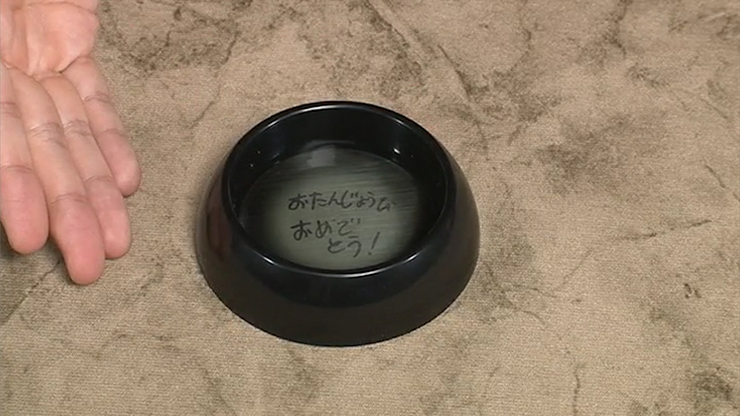 Water Crystal by Tenyo | Tenyo Co., Ltd. bei Deinparadies.ch