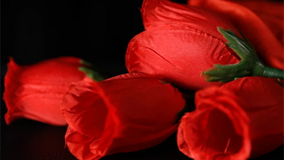 The Rose 2.0 (Red) by Bond Lee & Wenzi Magic Bond Lee bei Deinparadies.ch